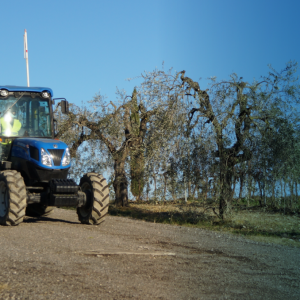 Addetto alla conduzione di trattori agricoli o forestali a ruote e cingoli